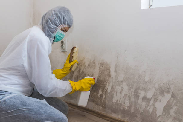 Best Crawl Space Mold Removal  in Rosebud, TX