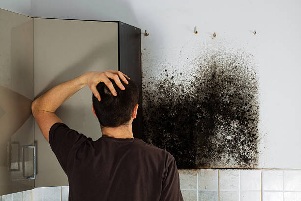 Best Mold Testing  in Rosebud, TX